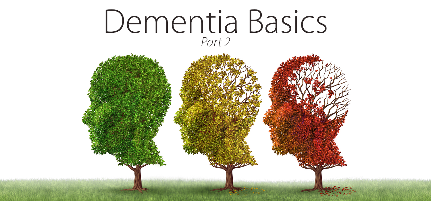 three trees, one with green leaves, one with yellow leaves, and one with lots of missing red leaves. Words "Part 2" are on the top and "Dementia Basics"